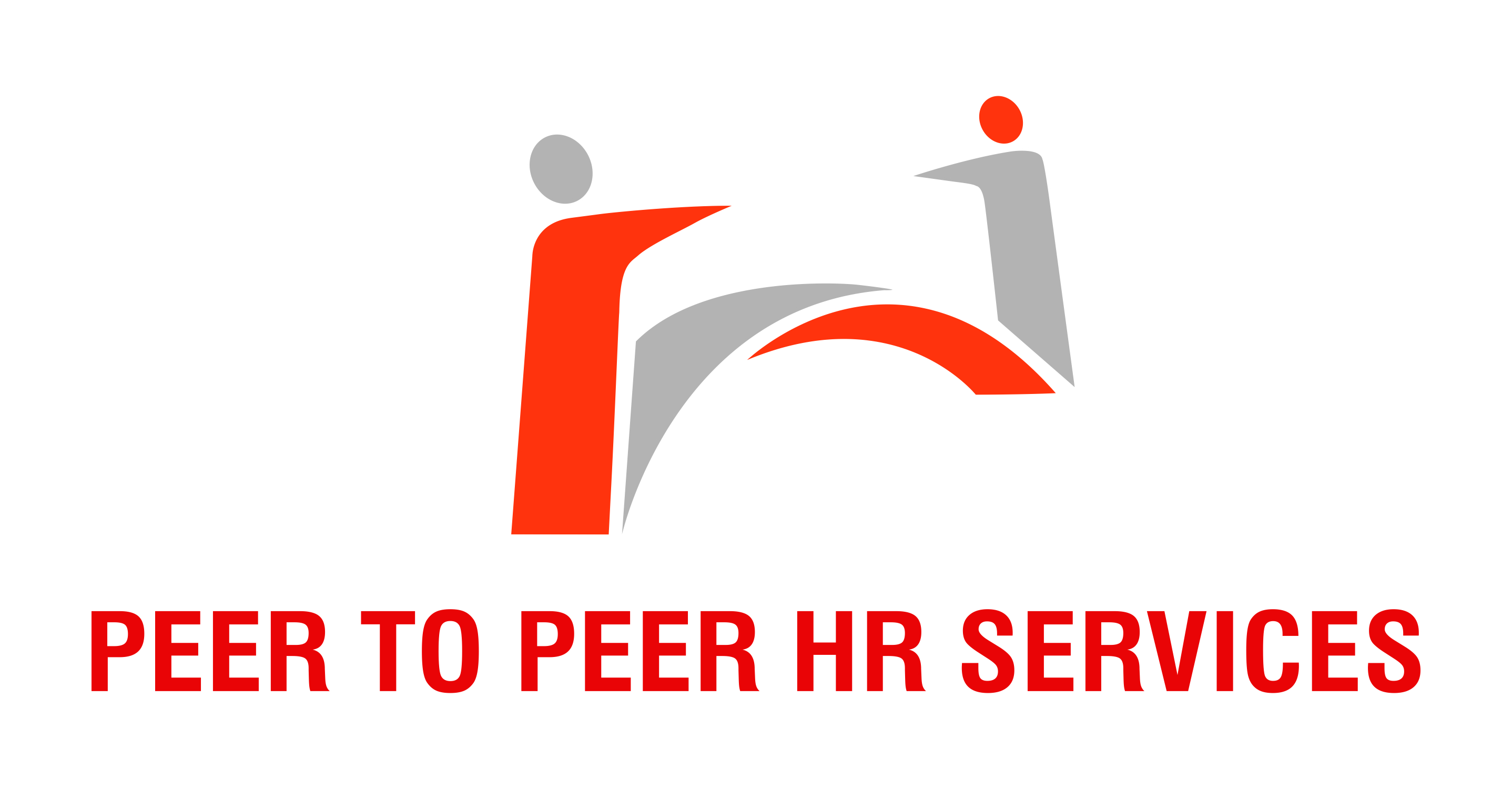 accountant-job-at-peer-to-peer-hr-services-rajasthan-udaipur